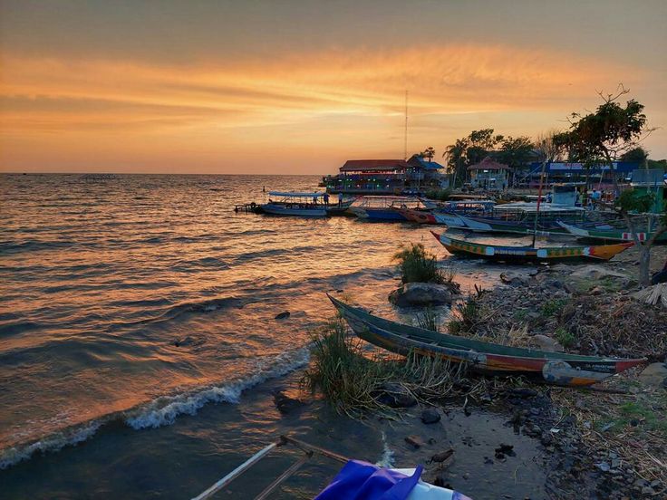 Wildebeest Migration