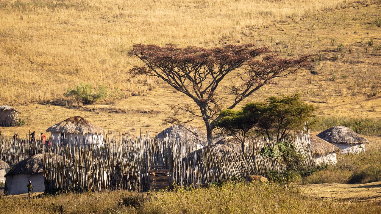 Maasai Mara Sunrise